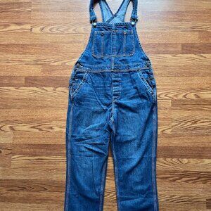 We The Free Dark Blue Denim Overalls